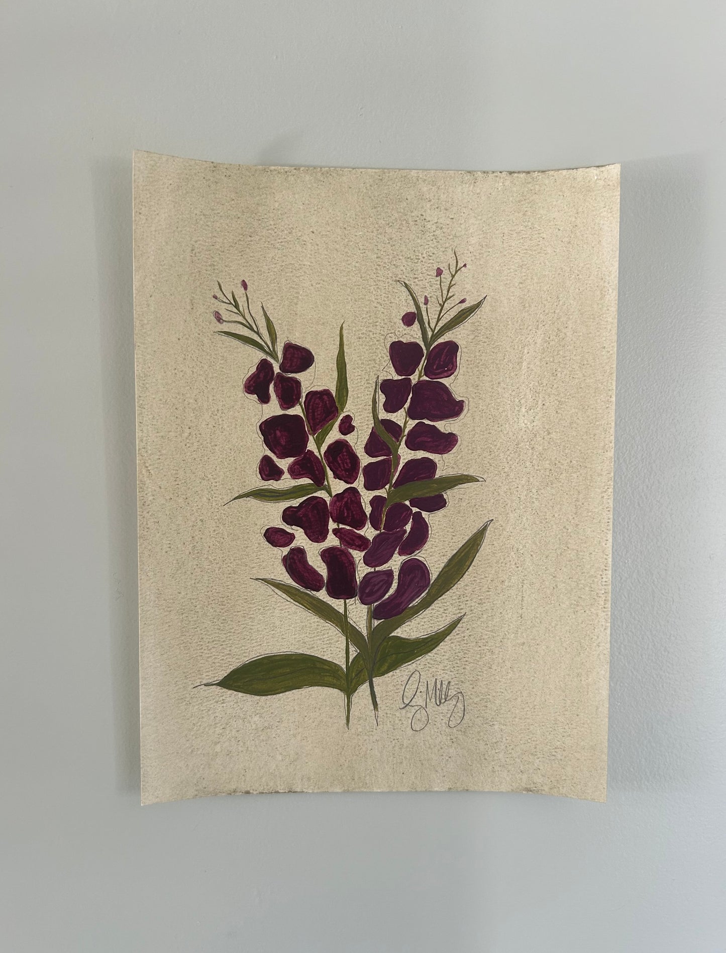 vintage botanical VI