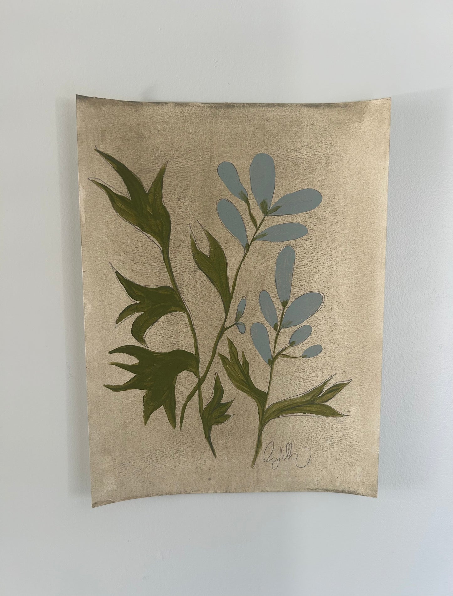 vintage botanical V