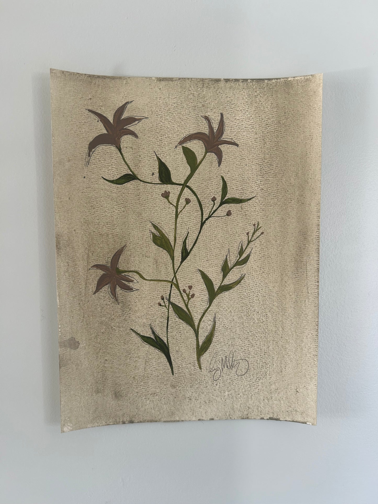 vintage botanical III
