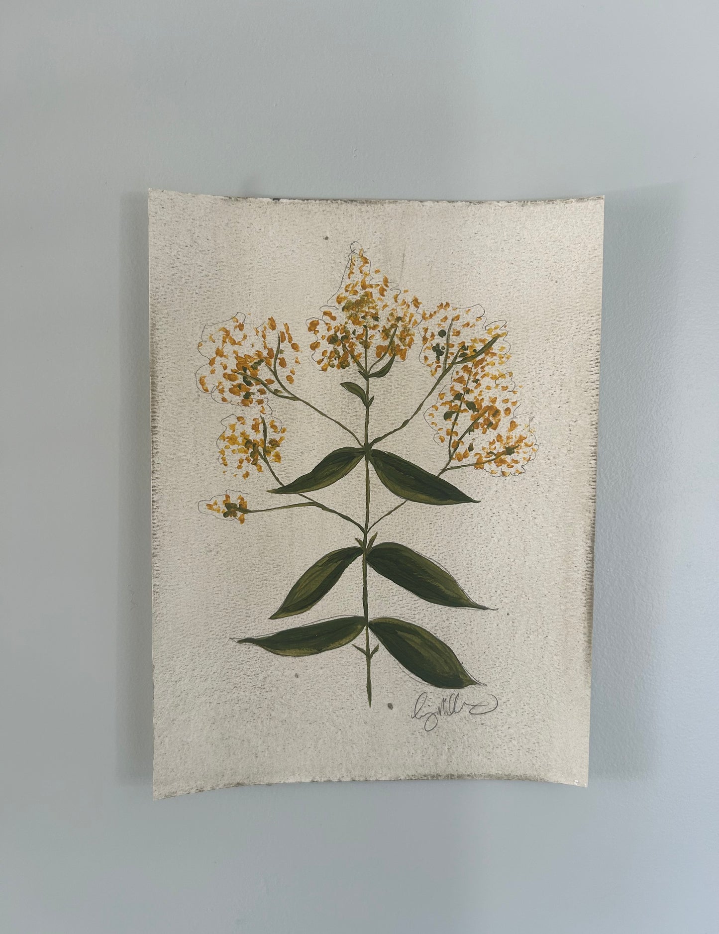 vintage botanical II